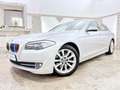 BMW 530 d Effecient Dynamics SOFT.C MEMORY HEAD-UP Argintiu - thumbnail 4