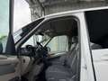 Volkswagen T7 Multivan TDI DSG Dispo lang Kamera Tempomat Weiß - thumbnail 6