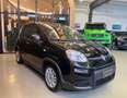 Fiat Panda Panda 1.0 FireFly  S&S Hybrid City Life Schwarz - thumbnail 2
