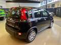 Fiat Panda Panda 1.0 FireFly  S&S Hybrid City Life Schwarz - thumbnail 5