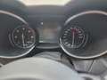Alfa Romeo Stelvio Stelvio 2.2 Diesel 16V AT8 Super Gris - thumbnail 13