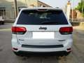 Jeep Grand Cherokee 3.0 V6 crd Trailhawk 250cv auto Tetto Bianco - thumbnail 5