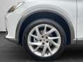 CUPRA Formentor 1.5 TSI DSG ACC, Full Link, Winter-Pak Weiß - thumbnail 8