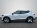 CUPRA Formentor 1.5 TSI DSG ACC, Full Link, Winter-Pak Weiß - thumbnail 7