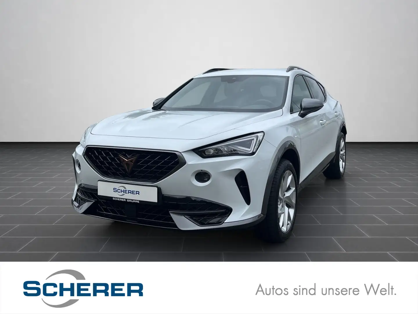 CUPRA Formentor 1.5 TSI DSG ACC, Full Link, Winter-Pak Weiß - 1