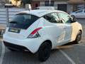 Lancia Ypsilon 1.2 69 CV 5 porte Elefantino GARANTITA Gris - thumbnail 6