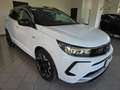 Opel Grandland 1.5 diesel Ecotec aut. Ultimate Wit - thumbnail 1