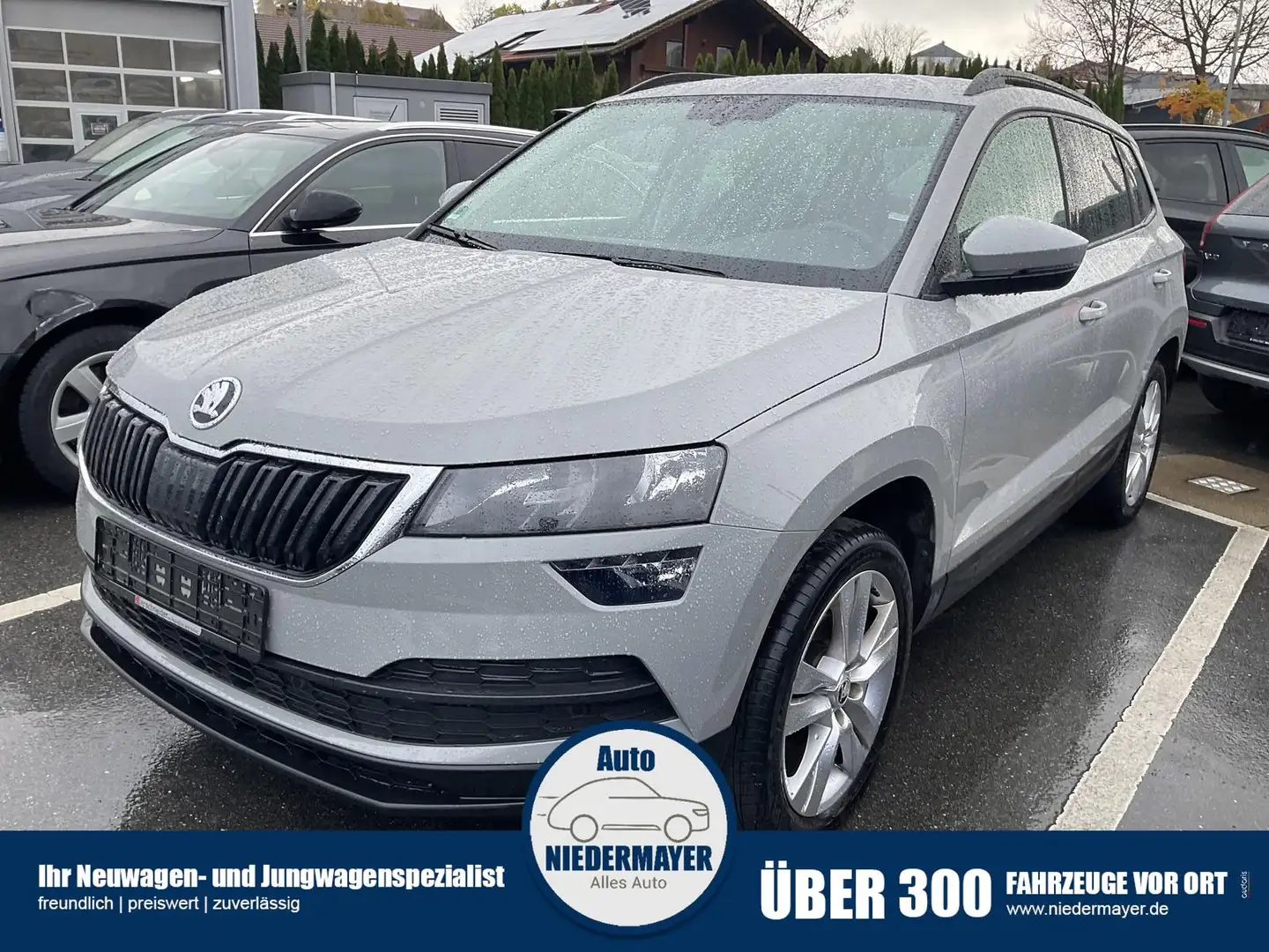 Skoda Karoq 2.0 TDI Style, AppConnect, PDC, Winter Grau - 1