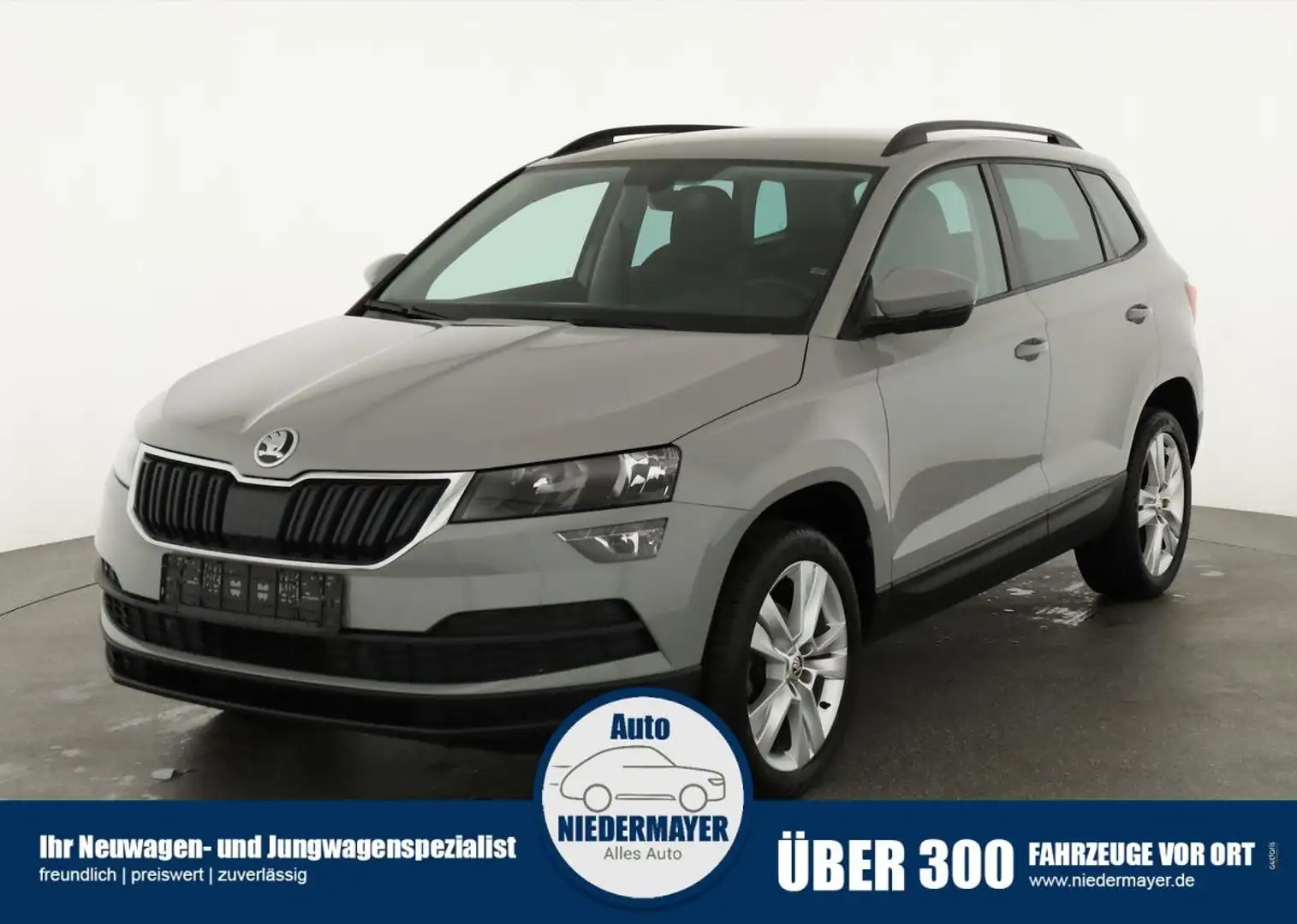 Skoda Karoq 2.0 TDI Style, AppConnect, PDC, Winter Grigio - 1