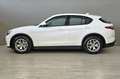Alfa Romeo Stelvio ALFA ROMEO Stelvio 2.2 Turbodiesel 190 CV AT8 Q4 Grigio - thumbnail 10