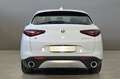 Alfa Romeo Stelvio ALFA ROMEO Stelvio 2.2 Turbodiesel 190 CV AT8 Q4 Grigio - thumbnail 7