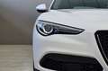 Alfa Romeo Stelvio ALFA ROMEO Stelvio 2.2 Turbodiesel 190 CV AT8 Q4 Grigio - thumbnail 11