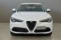 Alfa Romeo Stelvio ALFA ROMEO Stelvio 2.2 Turbodiesel 190 CV AT8 Q4 Grigio - thumbnail 3