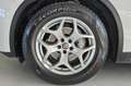 Alfa Romeo Stelvio ALFA ROMEO Stelvio 2.2 Turbodiesel 190 CV AT8 Q4 Grigio - thumbnail 12