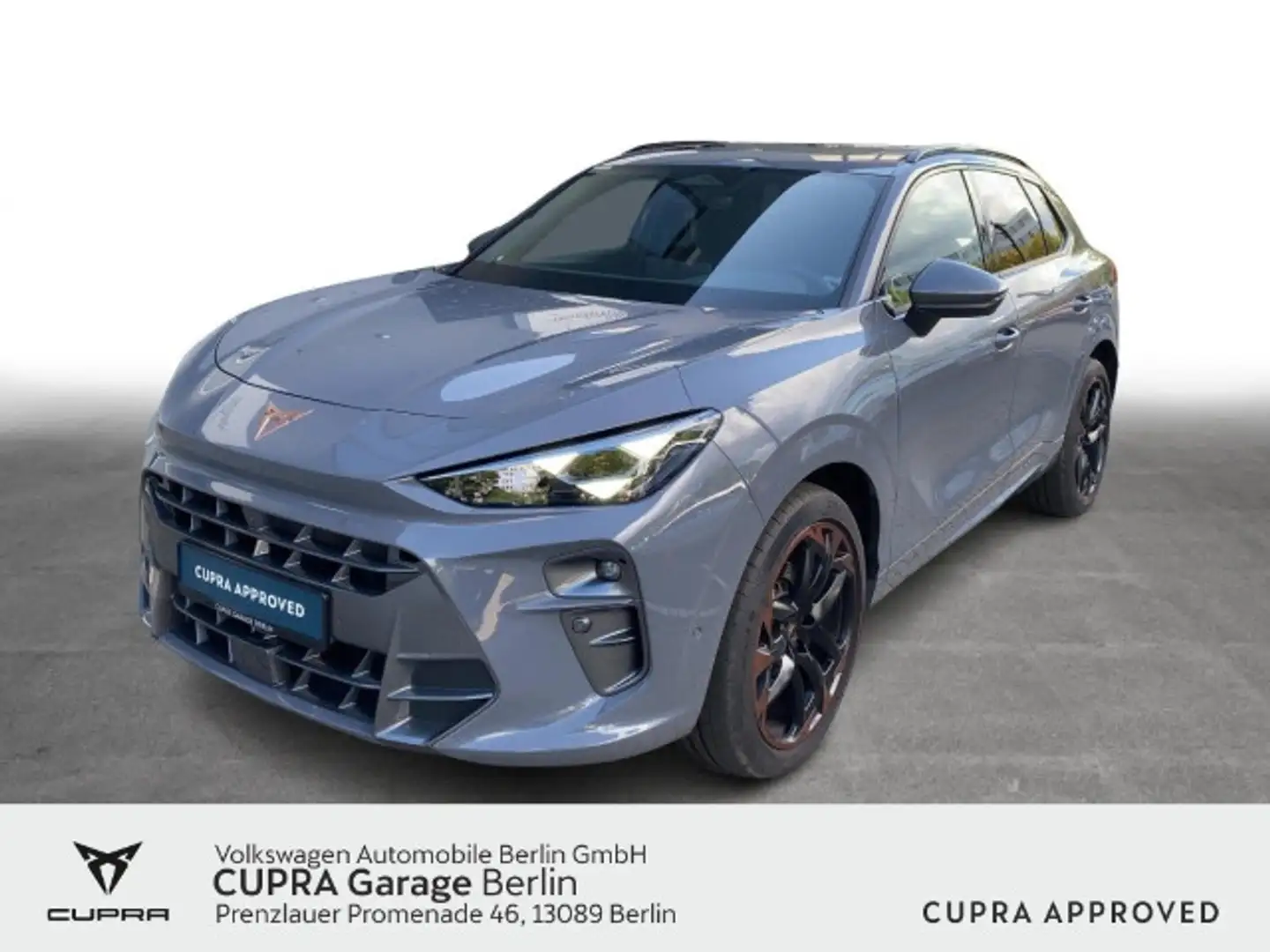 CUPRA Terramar 2.0 TSI DSG VZ 4Drive Pano Navi LED SHZ Grau - 1