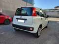 Fiat Panda Panda 1.2 Easy No Obbligo Finanziamento Blanc - thumbnail 4