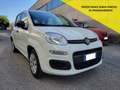 Fiat Panda Panda 1.2 Easy No Obbligo Finanziamento Blanc - thumbnail 1
