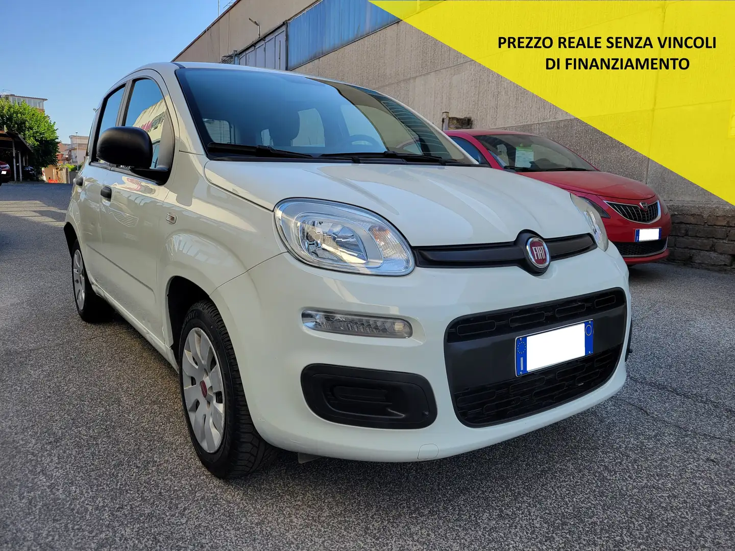 Fiat Panda Panda 1.2 Easy No Obbligo Finanziamento Blanc - 1