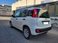 Fiat Panda Panda 1.2 Easy No Obbligo Finanziamento Blanc - thumbnail 5