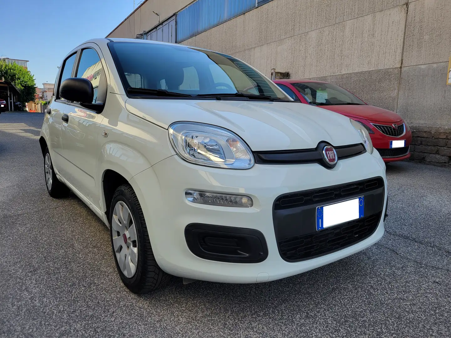 Fiat Panda Panda 1.2 Easy No Obbligo Finanziamento Blanc - 2