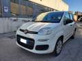 Fiat Panda Panda 1.2 Easy No Obbligo Finanziamento Blanc - thumbnail 3