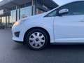 Ford Grand C-Max Trend 1,6D + Winterräder Weiß - thumbnail 13