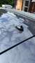 Kia Sportage FIFA World Cup Edition 2WD **1.HAND** Grijs - thumbnail 17