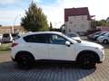 Mazda CX-5 Center-Line 2WD**Motorchaden** Weiß - thumbnail 5