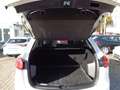 Mazda CX-5 Center-Line 2WD**Motorchaden** Weiß - thumbnail 14