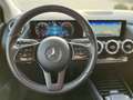 Mercedes-Benz B 250 B 250 e Style+360°+AHK+DAB+CarPlay+Multibeam+Navi Gold - thumbnail 17