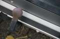 Volvo V60 2.4 D6 AWD Plug-In Hybrid Summum Gris - thumbnail 7