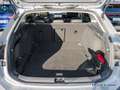 Volkswagen Passat 2.0 TDI Business DSG AHK+TrailerAss/AreaView Silber - thumbnail 9