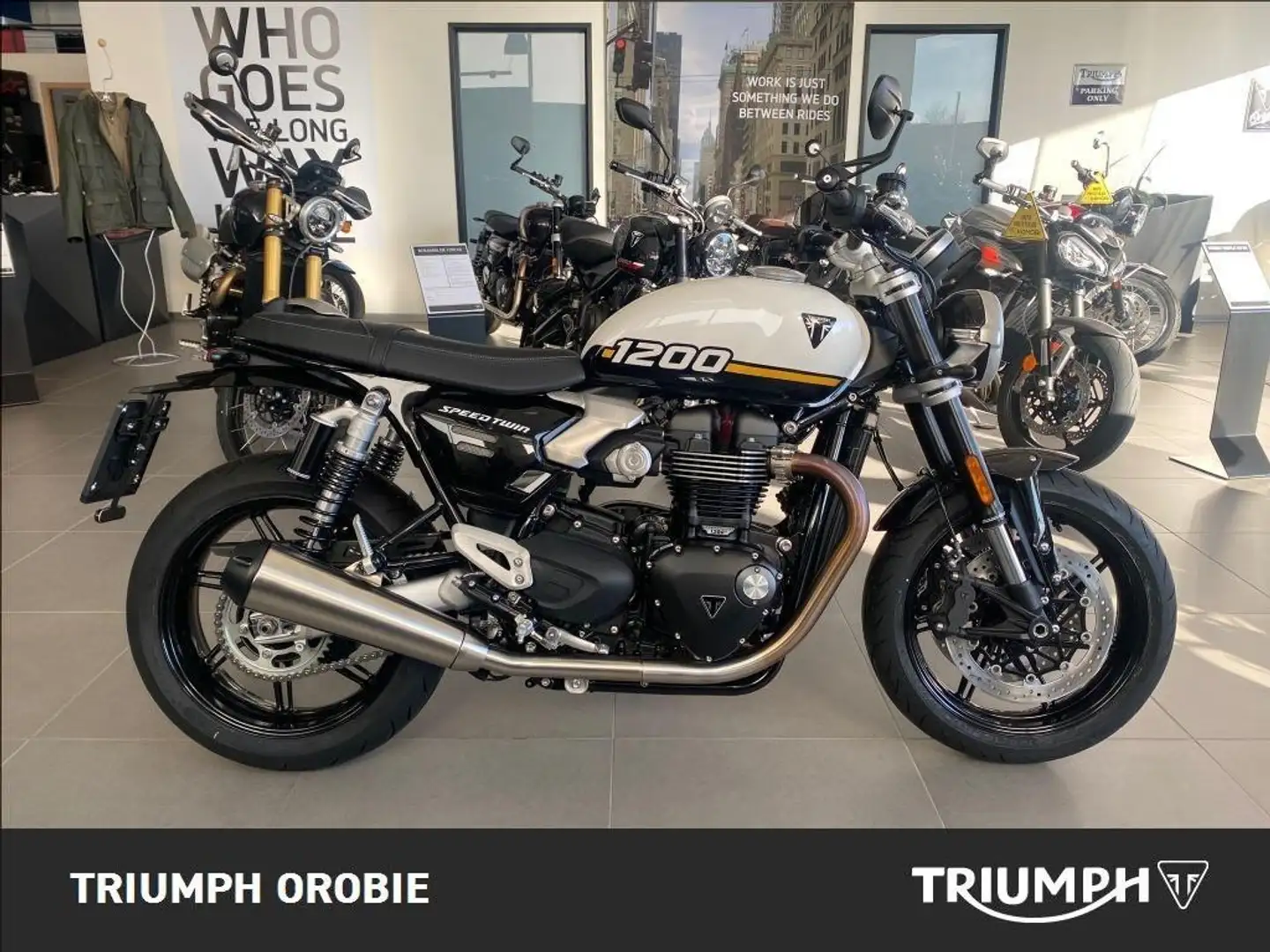Triumph Speed Twin Abs Bianco - 1