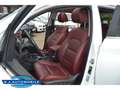 Hyundai TUCSON Premium 4WD 1.6 ,Leder,Navi,TOP Blanco - thumbnail 10