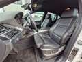 BMW X6 Baureihe X6 xDrive40d Leder Anhängerkupplung Weiß - thumbnail 18