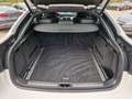BMW X6 Baureihe X6 xDrive40d Leder Anhängerkupplung Alb - thumbnail 14