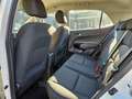 Kia Picanto 1.0 12V EcoGPL 5 porte Bianco - thumbnail 11