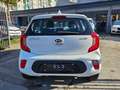 Kia Picanto 1.0 12V EcoGPL 5 porte Bianco - thumbnail 5