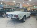 Fiat 124 Spider America Blanc - thumbnail 3