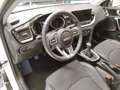 Kia XCeed - Xceed 1.6 CRDi 136 CV MHEV iMT Business Bianco - thumbnail 11