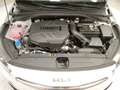 Kia XCeed - Xceed 1.6 CRDi 136 CV MHEV iMT Business Bianco - thumbnail 10