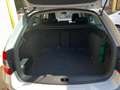 Skoda Octavia 1.6 TDI CR 110 CV DSG Wagon Executive Bianco - thumbnail 12
