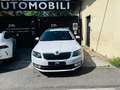 Skoda Octavia 1.6 TDI CR 110 CV DSG Wagon Executive Bianco - thumbnail 2