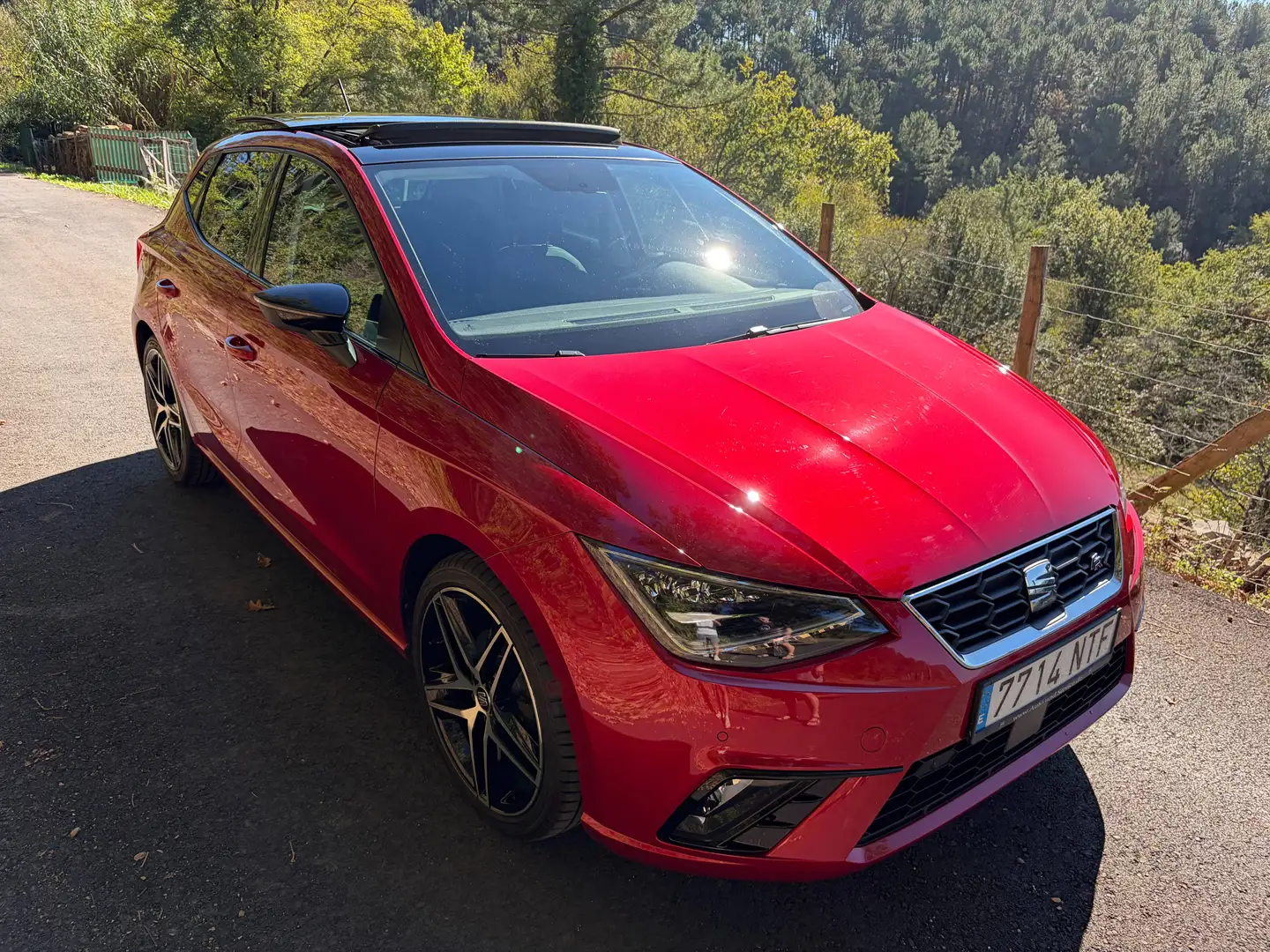SEAT Ibiza Ibiza 1.5 EcoTSI FR Rojo - 2