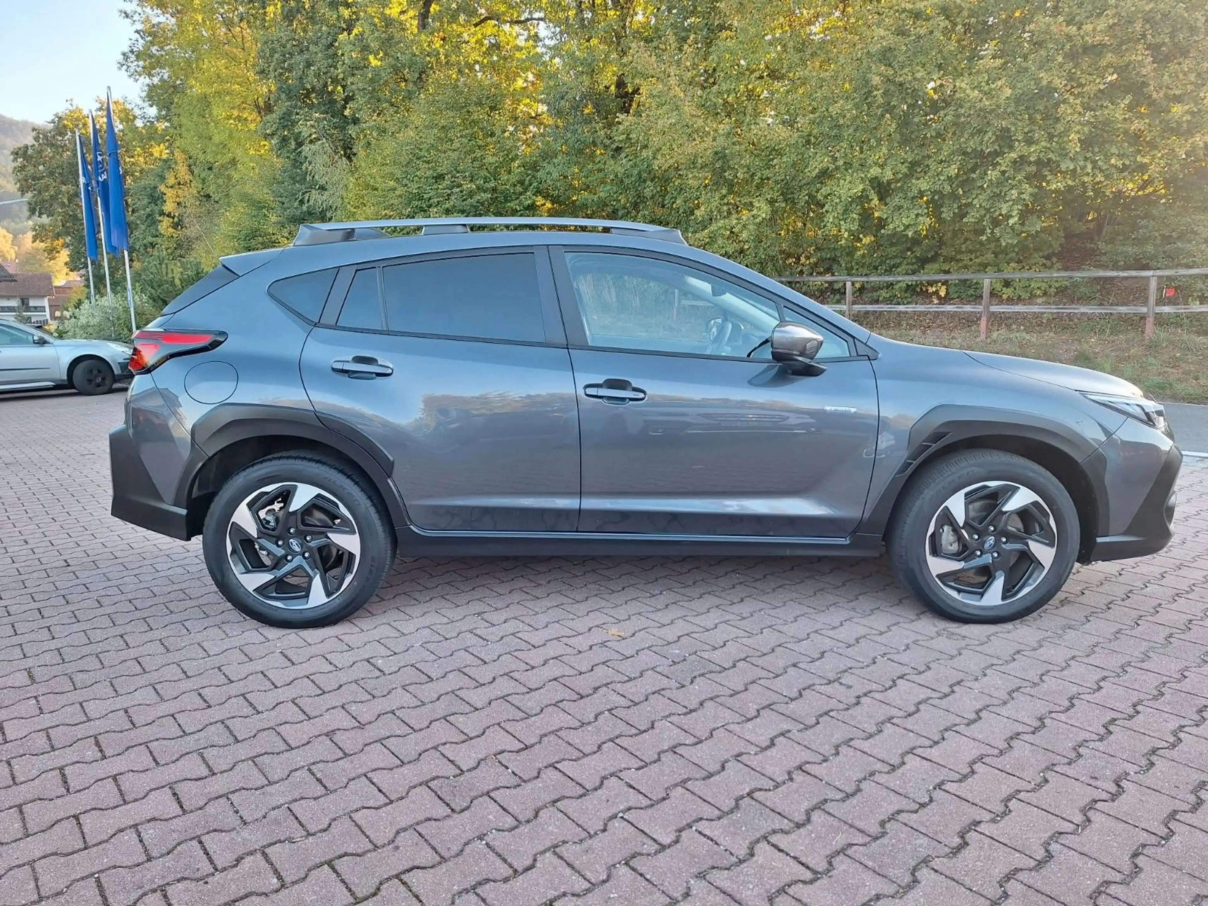 Subaru Crosstrek 2.0ie Platinum Lineartronic 4WD, MWSt — photo 5