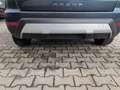 SEAT Arona 1.0 TSI Xcellence~gepflegt - thumbnail 11
