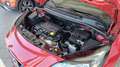 Opel Corsa Corsa 5p 1.2 b-Color Km 20000 Rot - thumbnail 16