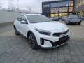 Kia XCeed 1.0 T-GDI Vision Bluetooth PDC Klima DPF Bianco - thumbnail 13