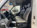 Hyundai H 350 L3-H2 Maxi Hoch+Lang *Garantie*170Ps* Weiß - thumbnail 17