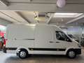 Hyundai H 350 L3-H2 Maxi Hoch+Lang *Garantie*170Ps* Weiß - thumbnail 9